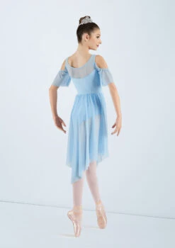 Weissman The Garden -dance costume 12377 weissman the garden blue back 19951.1678887433