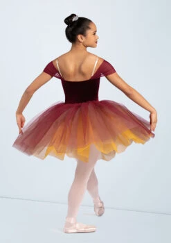Weissman Potter Waltz -dance costume 12872 blackcherry 8362 48318.1678887586