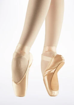 Bloch Amelie Pointe Shoe -dance costume bl s0103 bloch amelie pointe shoe pink front T 81078.1698800443