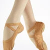 Bloch Pro Elastic S0621L Split Sole Ballet Shoe - Flesh 1 Bloch Pro Elastic S0621L Split Sole Ballet Shoe - Flesh -dance costume blS0621 main flsh 38659.1678926264
