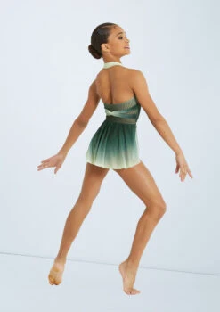 Weissman Lifelines -dance costume pl11371 weissman draped ombre mesh leotard green back 00936.1678891376