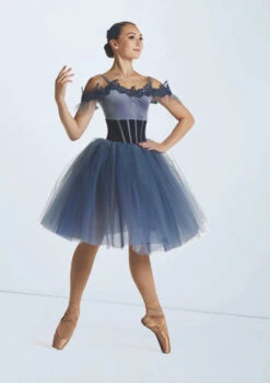 Weissman Fragile Dream -dance costume wn15916 slate blue 2000 06238.1694435072